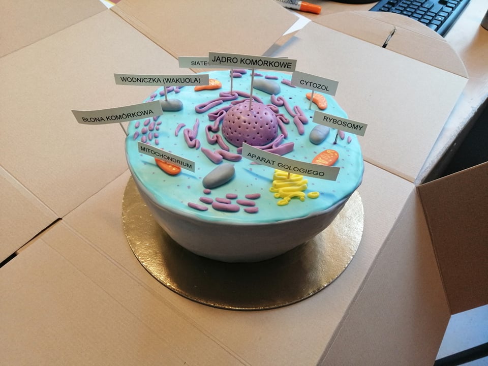 Przepyszna komórka i nie tylko...