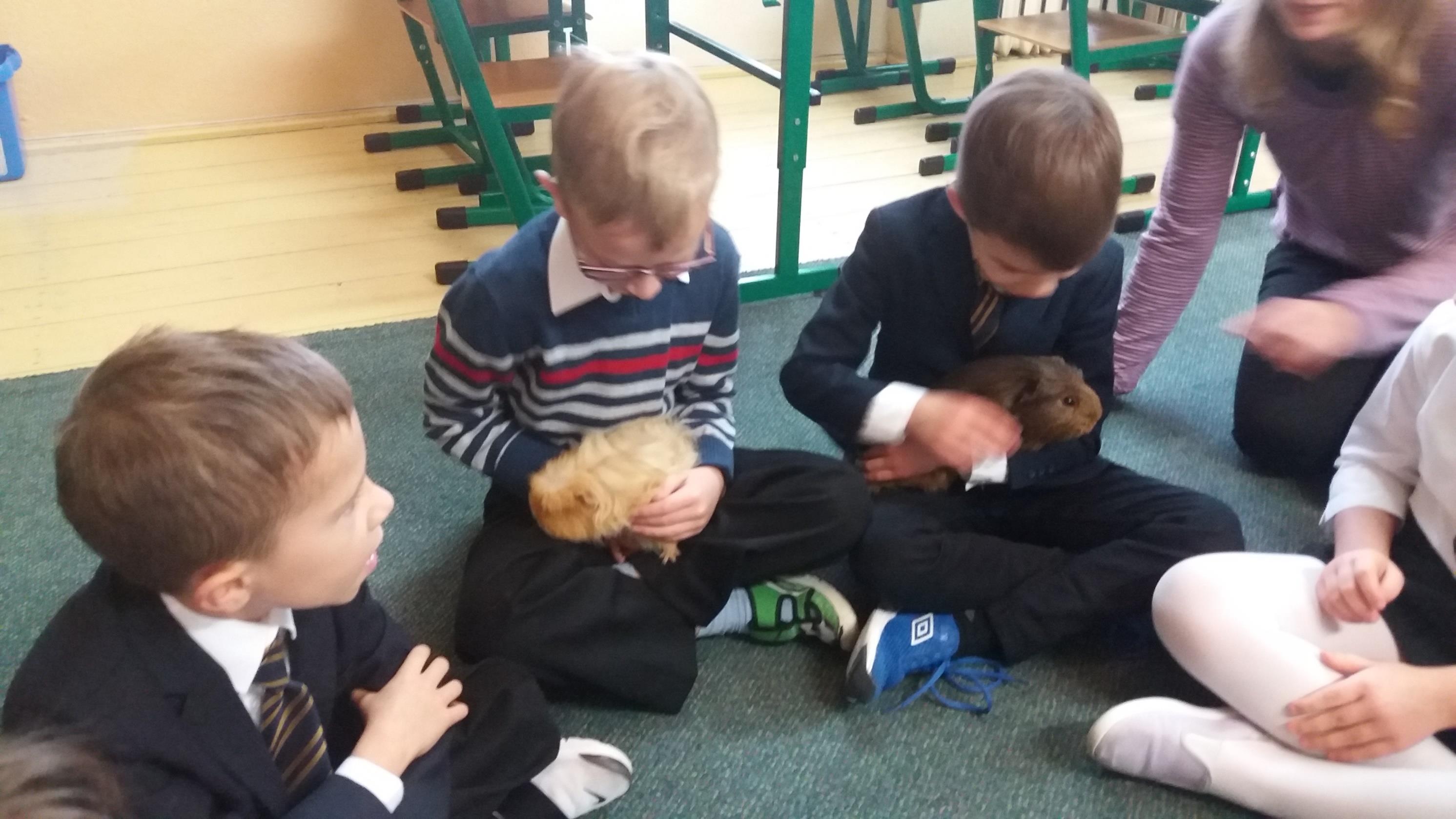 Niezwykłe odwiedziny