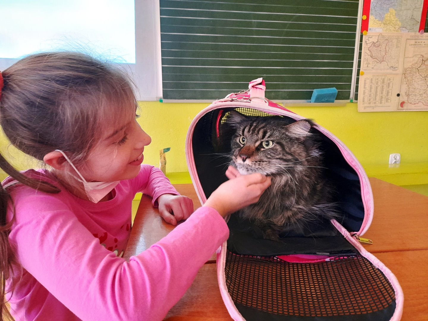 LEKCJA IDY - 3. KOT MATEJKO