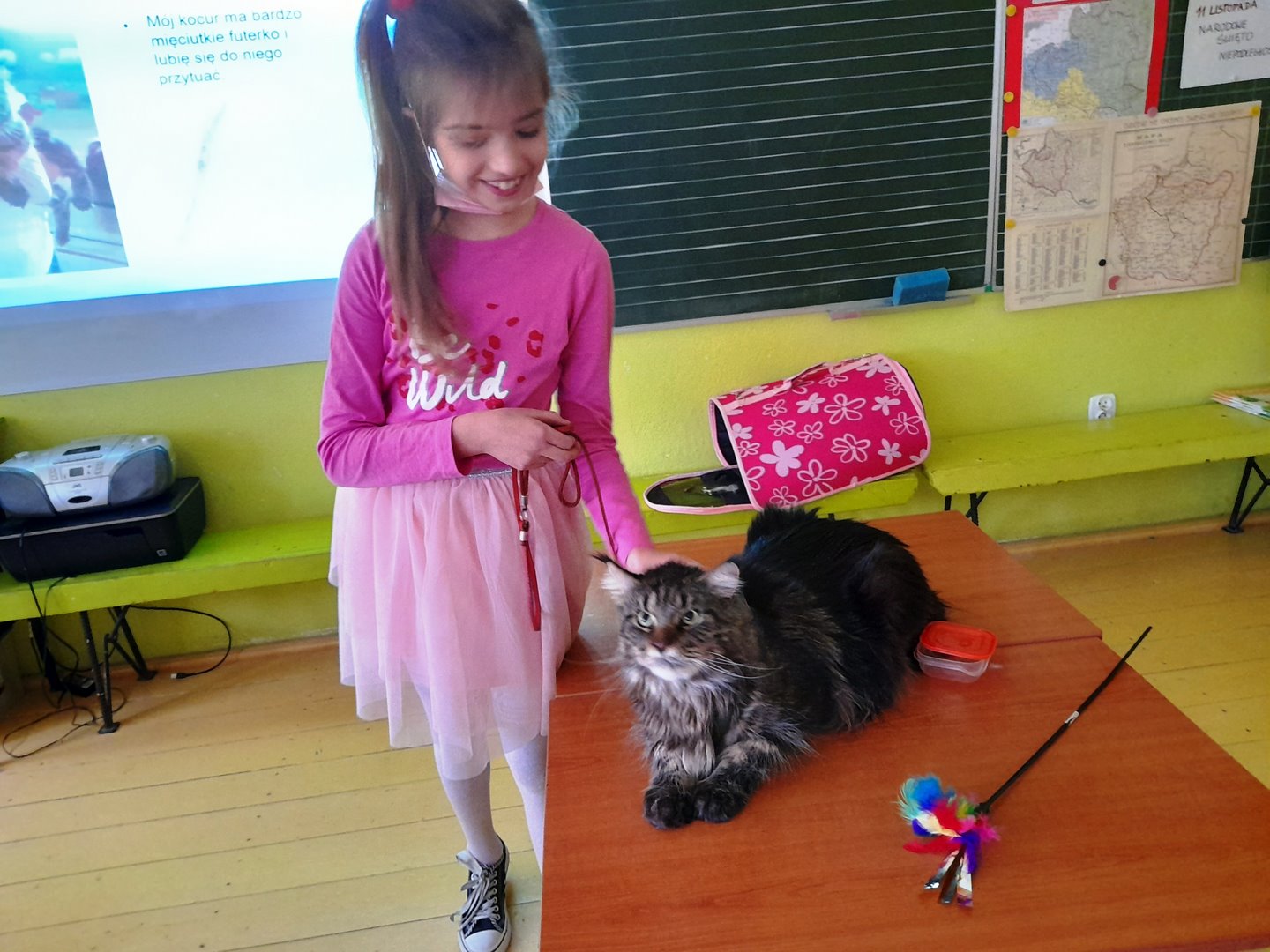 LEKCJA IDY - 4. KOT MATEJKO