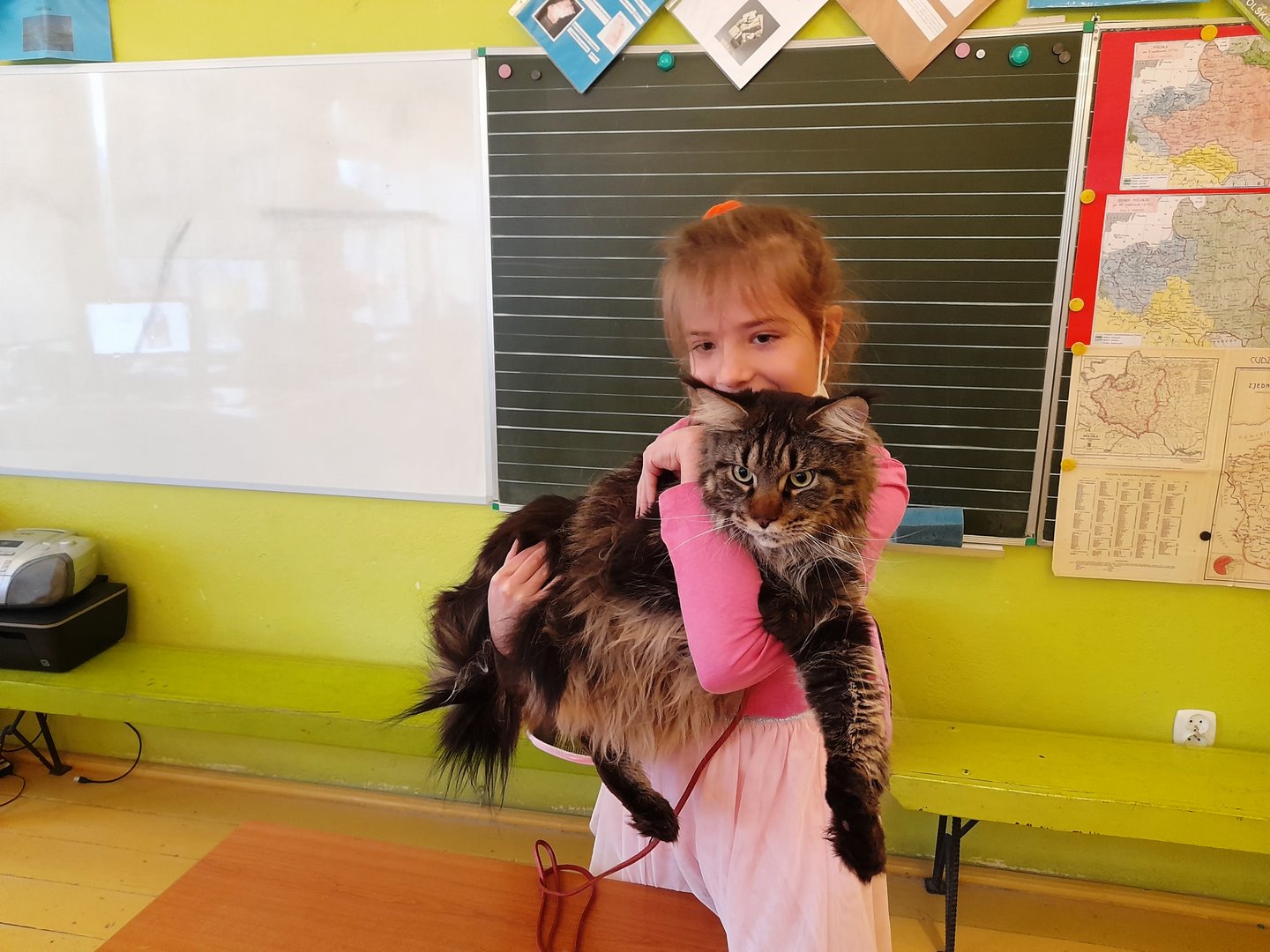 LEKCJA IDY - 6. KOT MATEJKO