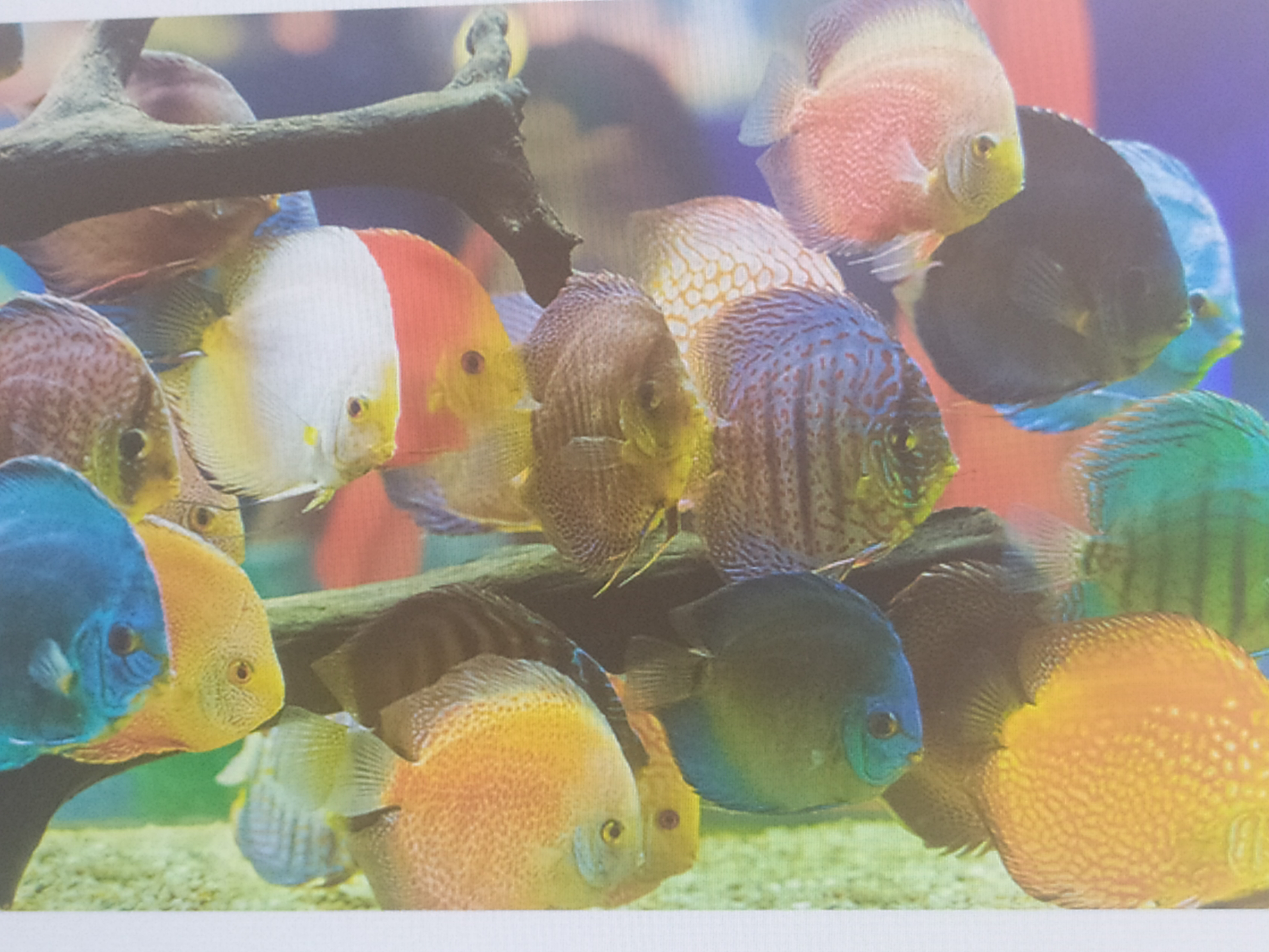 Kinga w roli nauczyciela.