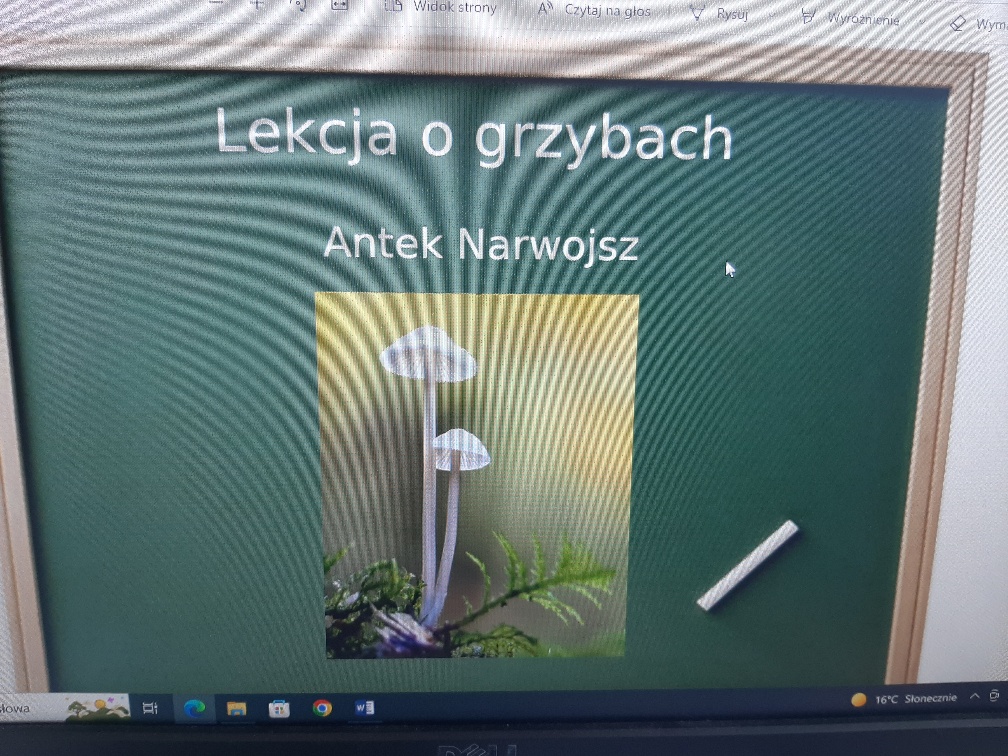Lekcja o grzybach