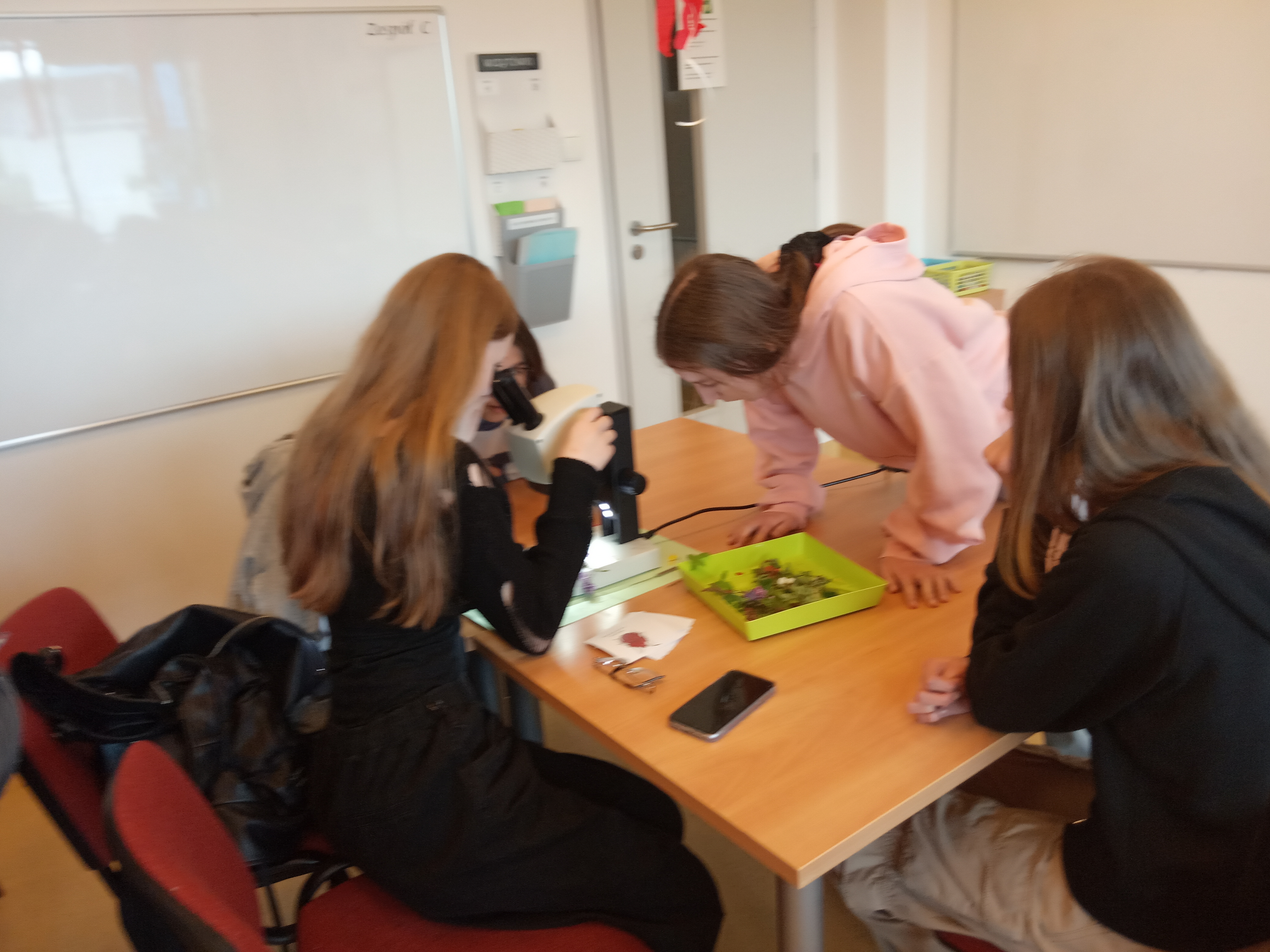 Zajęcia na Uniwersytecie Gdańskim