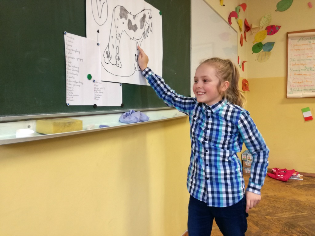 Magdalena Boroch o koniach