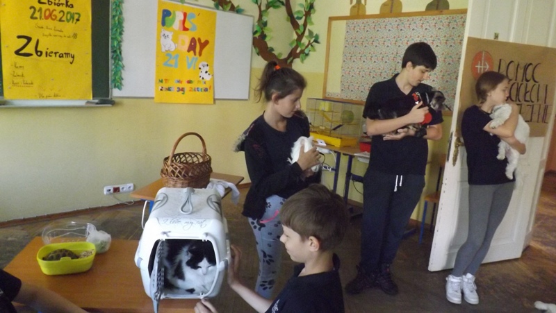 Dzień ze zwierzęciem - relacja - czerwiec 2017