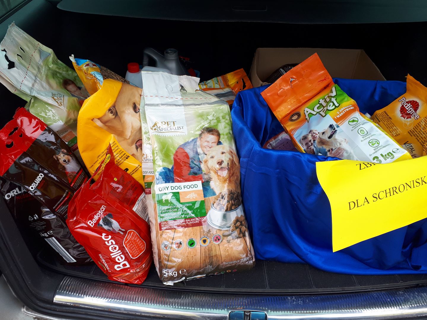 Zakończona zbiórka na schronisko 