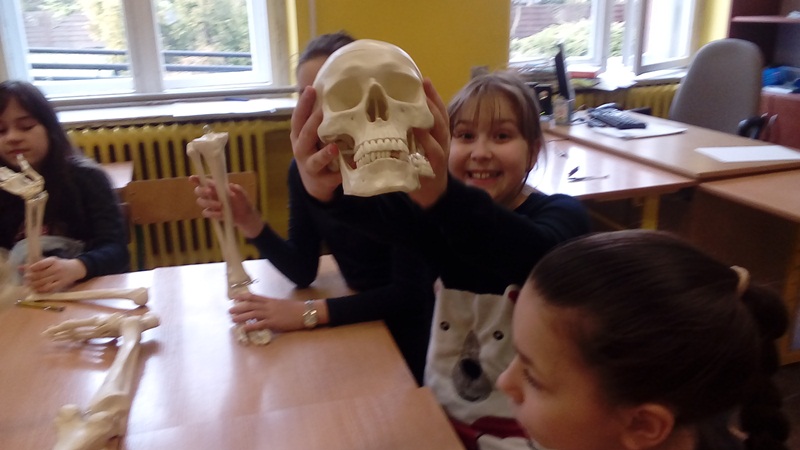 Warsztaty przyrodnicze SP - biologia - relacja - marzec 2017