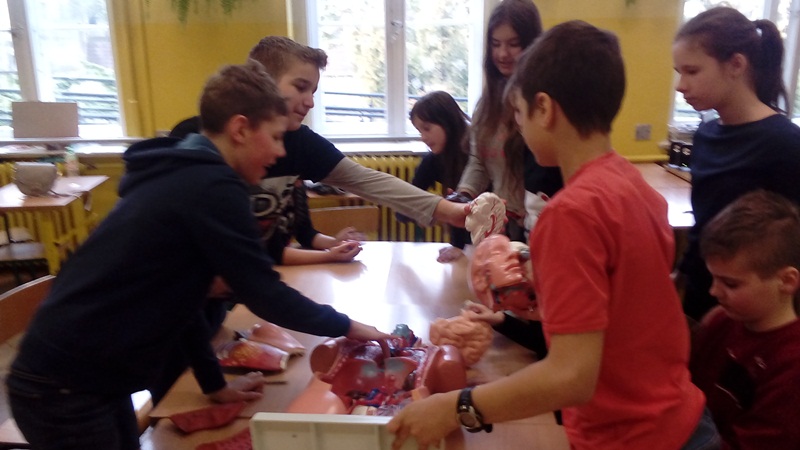 Warsztaty przyrodnicze SP - biologia - relacja 2 - marzec 2017