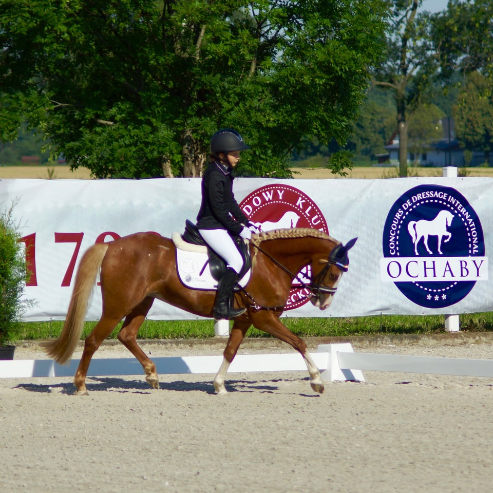ZUZIA W KADRZE WOJEWÓDZTWA POMORSKIEGO